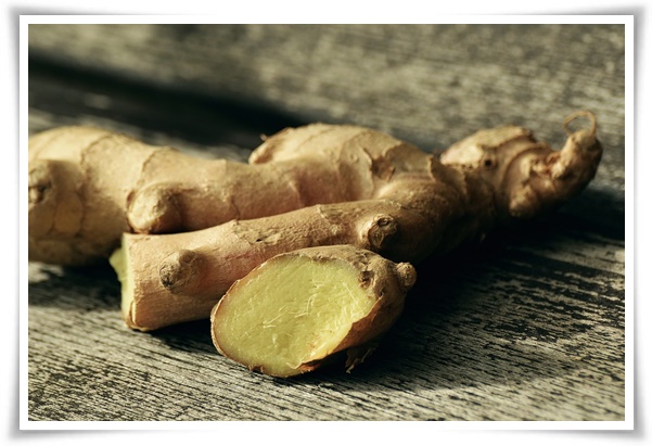 &quot;10월 하순, 생강 수확 하세요!&quot; 생강의 매력과 건강 효능, 최적의 수확시기! 생강의 효능과 활용!