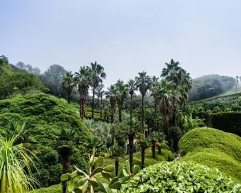 외도 보타니아_7