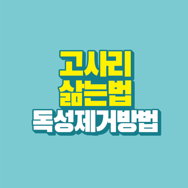 썸네일-고사리-삶는법-독성제거방법