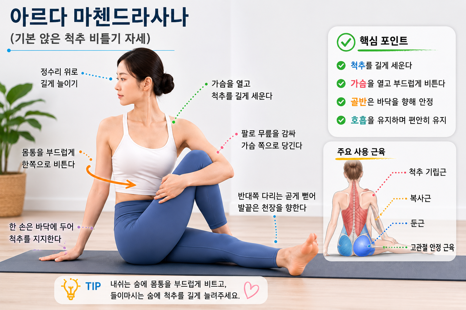 요가 해부학으로 이해하는 앉은 척추 비틀기 자세(아르다 마첸드라사나): 허리가 아니라 흉추가 움직여야 하는 이유