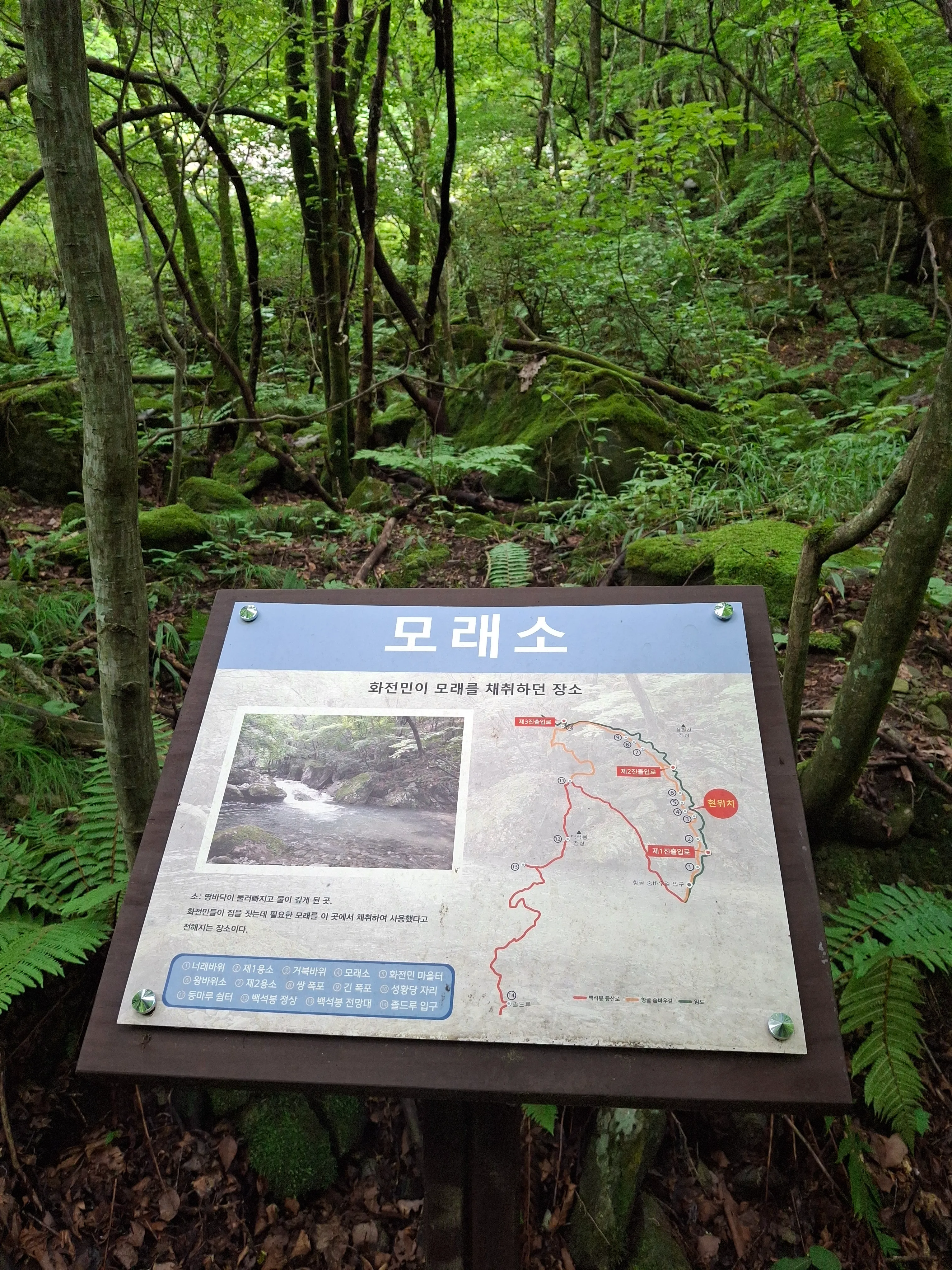 강원도 정선 항골 숨바우길 모래소
