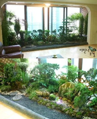 실내정원 꾸미기 화분선택 배치요령 물주기 통풍 어르신도 쉬운 동선_5