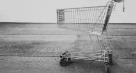 태무(temu) 쇼핑몰 바로가기