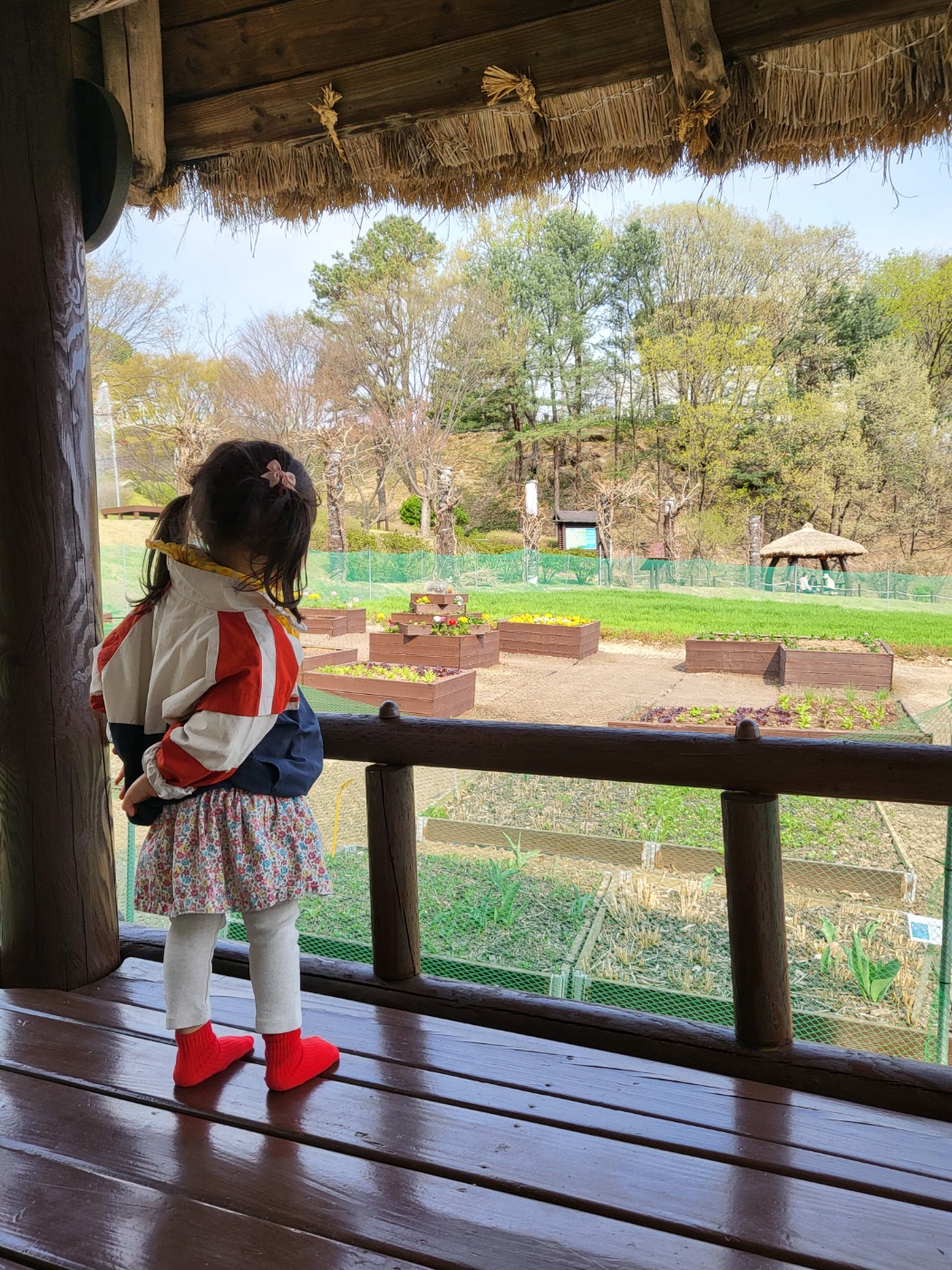 원두막에서 바깥을 구경하는 아이