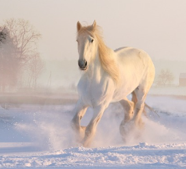 겨울철 화재예방 안내문