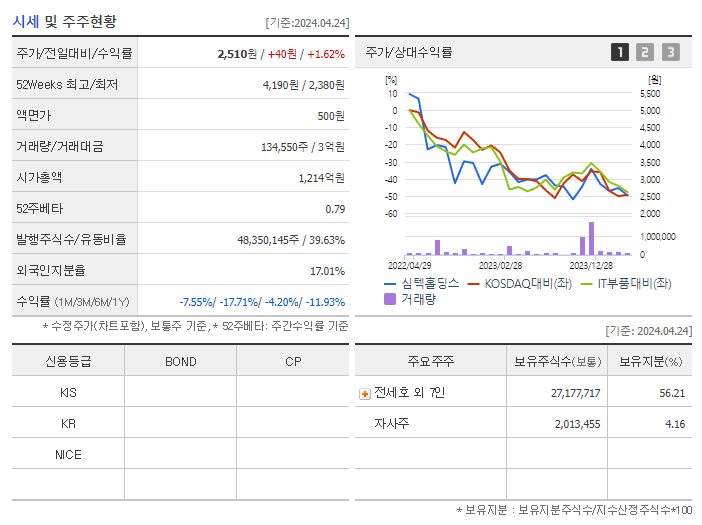 심텍홀딩스_기업개요