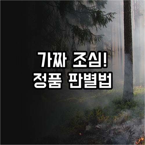 병행 수입 시계 정품 확인법과 브랜드..