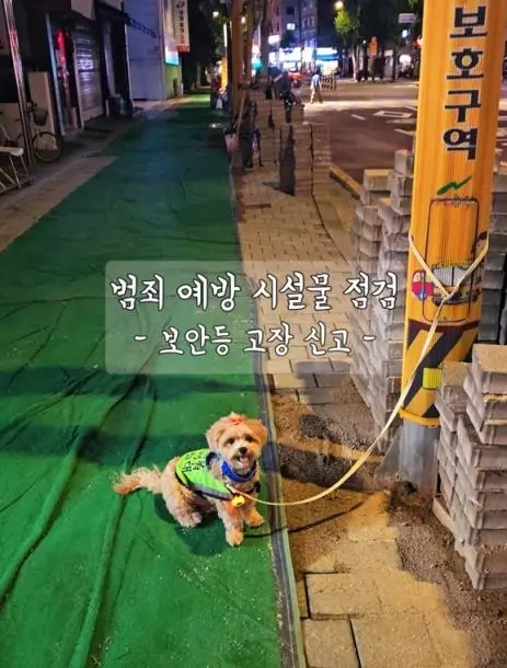 2024년 서울 반려견 순찰대 종료! 2025년 모집은 언제부터? [댕댕이&amp;#44; 강아지]