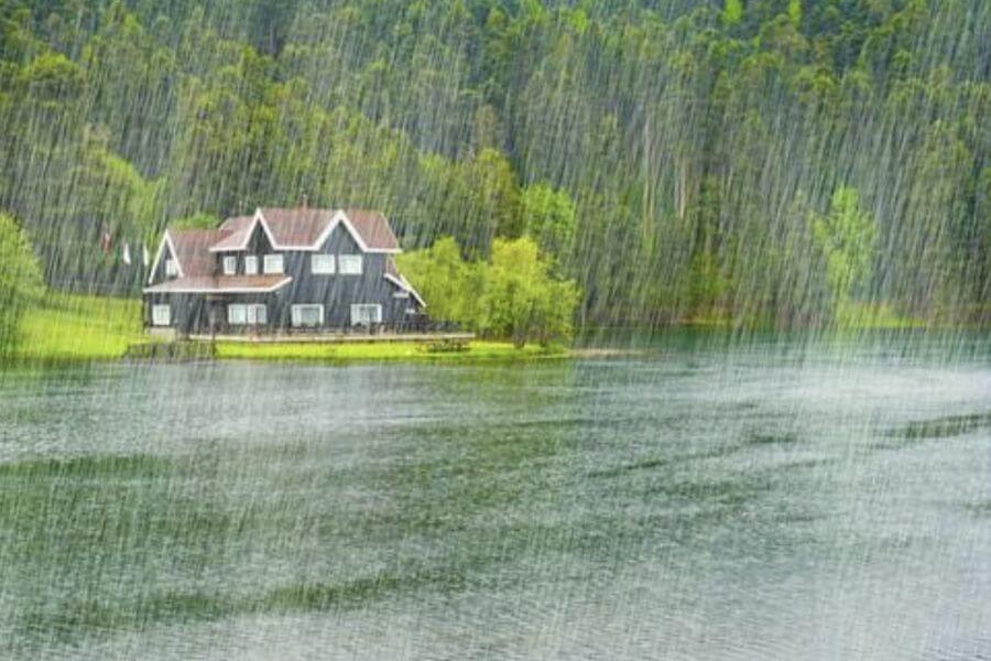 귀농 초보가 비 오는 날 더 크게 느끼는 시골생활의 변화