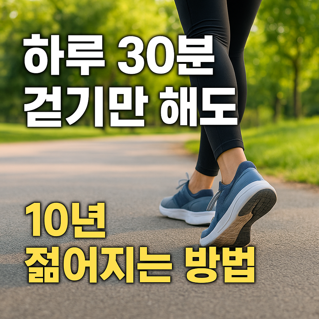 혈관 나이 10살 젊어지는 하루 30분 걷기 비밀
