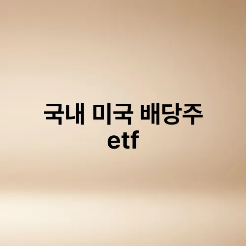 국내 미국 배당주 etf