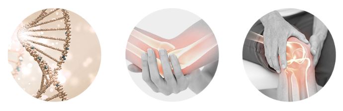 포뉴 비타민D 5000IU D3