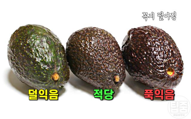 맛있는 아보카도 고르는법,좋은 아보카도 고르기 먹는 방법,팁줌