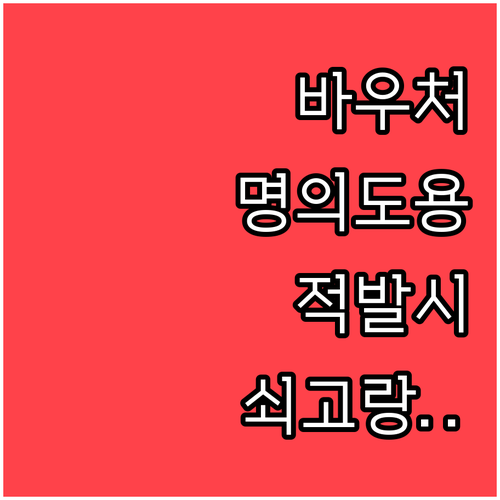 허위 서류 제출과 명의 도용 등 바우..