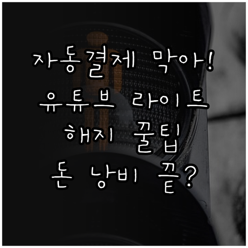 자동 결제 방지 유튜브 라이트 멤버십..