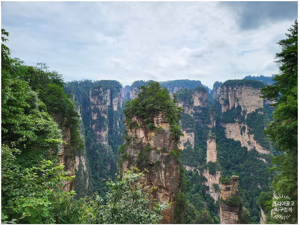 중국 장가계 원가계 아바타