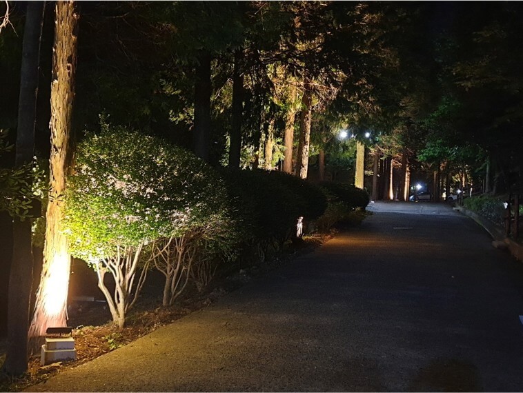 남해 편백자연휴양림 야경사진