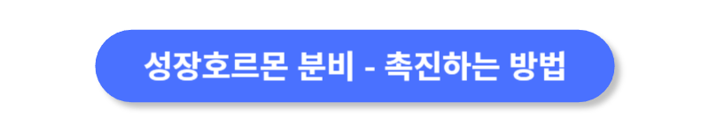 버튼