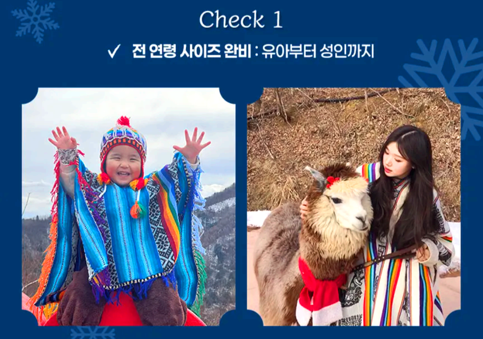 홍천 알파카 월드