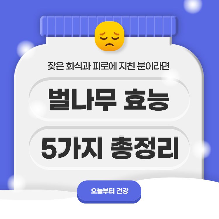 벌나무 효능
