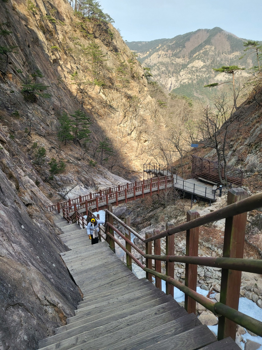 설악산 케이블카 대기 결국 포기! 비룡폭포 대신 선택한 용담폭포와 출렁다리 아이와 함께한 겨울 산행(토요일)