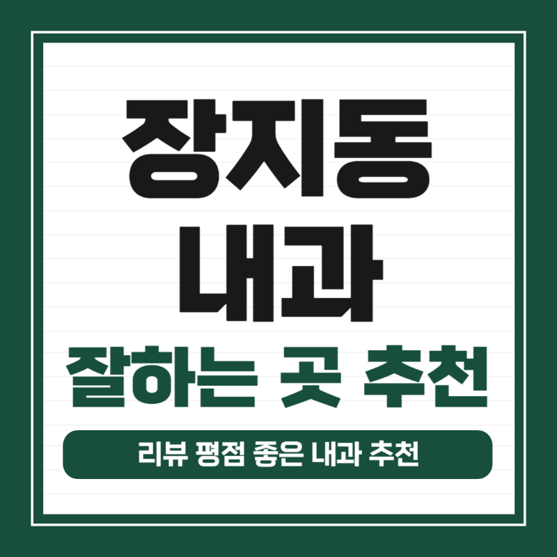 송파구 장지동 내과 병원 감기 독감 진료 유명한 곳 잘하는 곳 추천