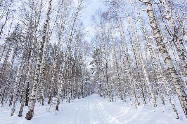 인제 가볼만한 곳