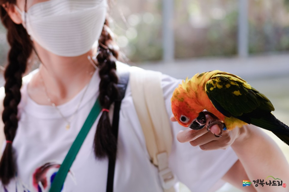 경주 주간 여행코스 ❘ 쾌적한 실내 테마파크와 박물관