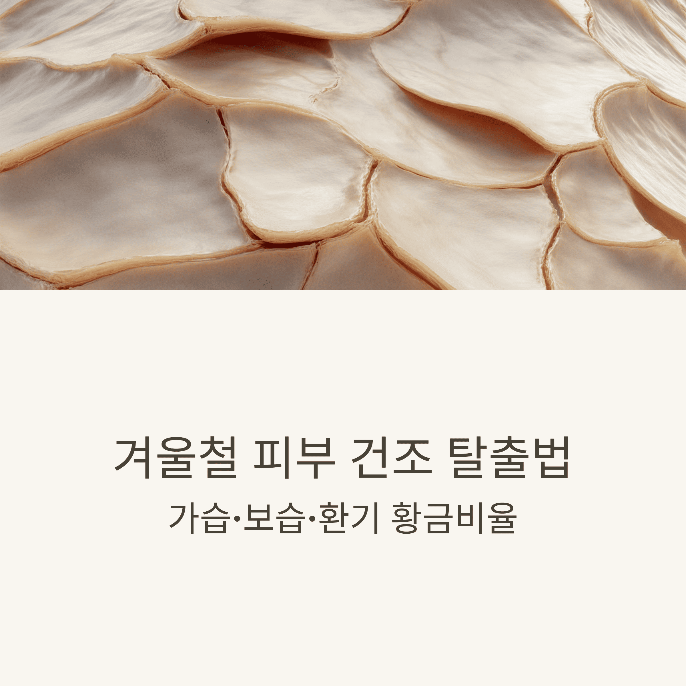 겨울철 실내 가습, 보습, 환기의 황금비율