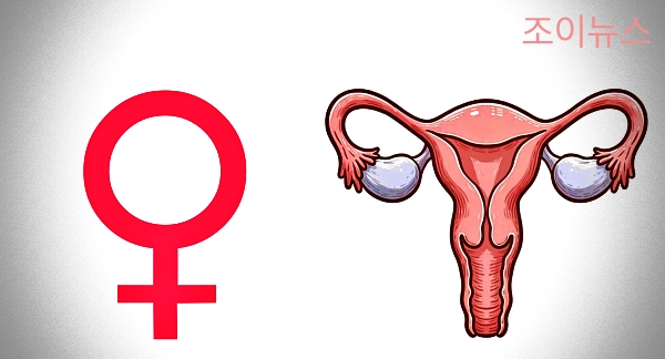 여성 하복부 초음파 검사