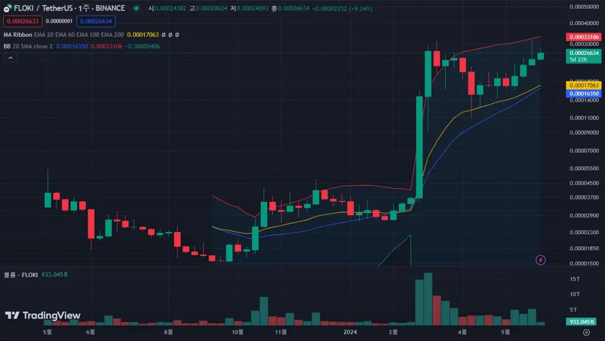 FLOKI-코인-주봉-차트