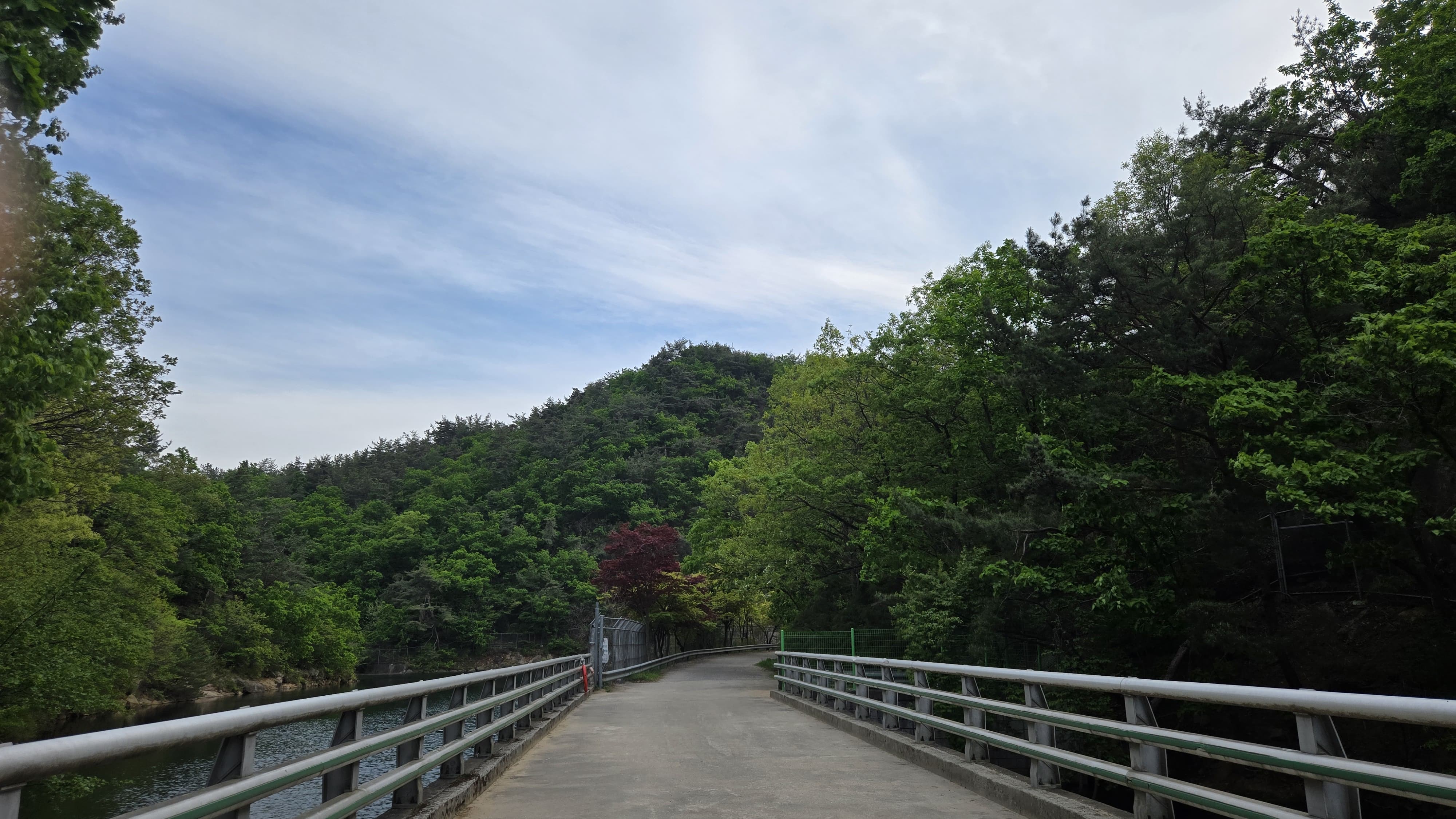 서울대 수목원 내 삼성천보 다리