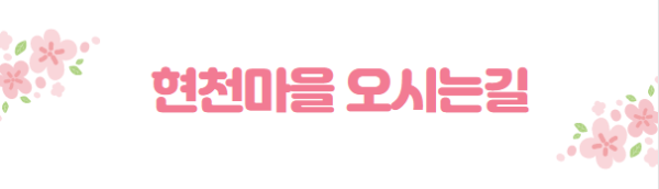 봄꽃 여행지