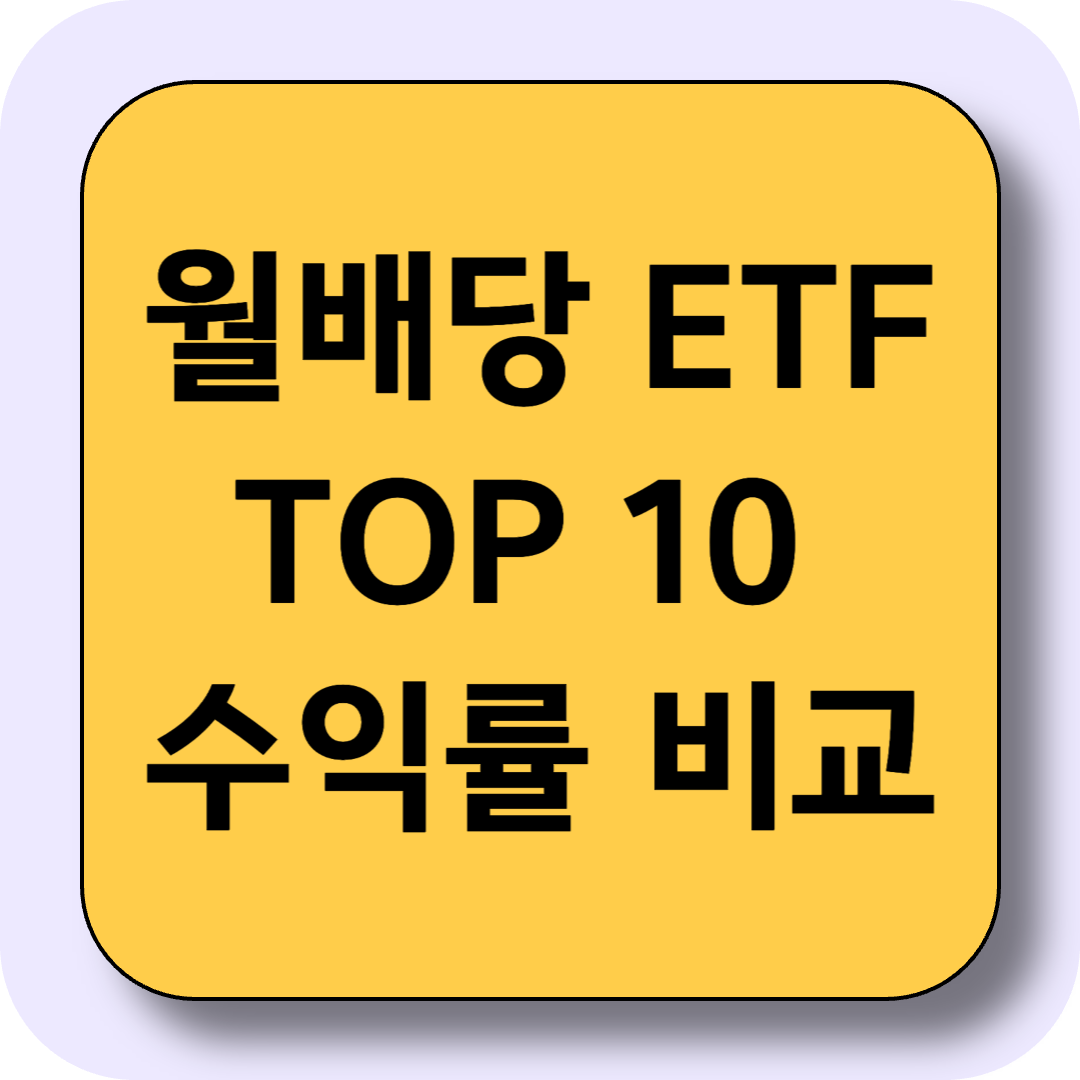 2025년 월배당 ETF TOP 10 수익률 비교