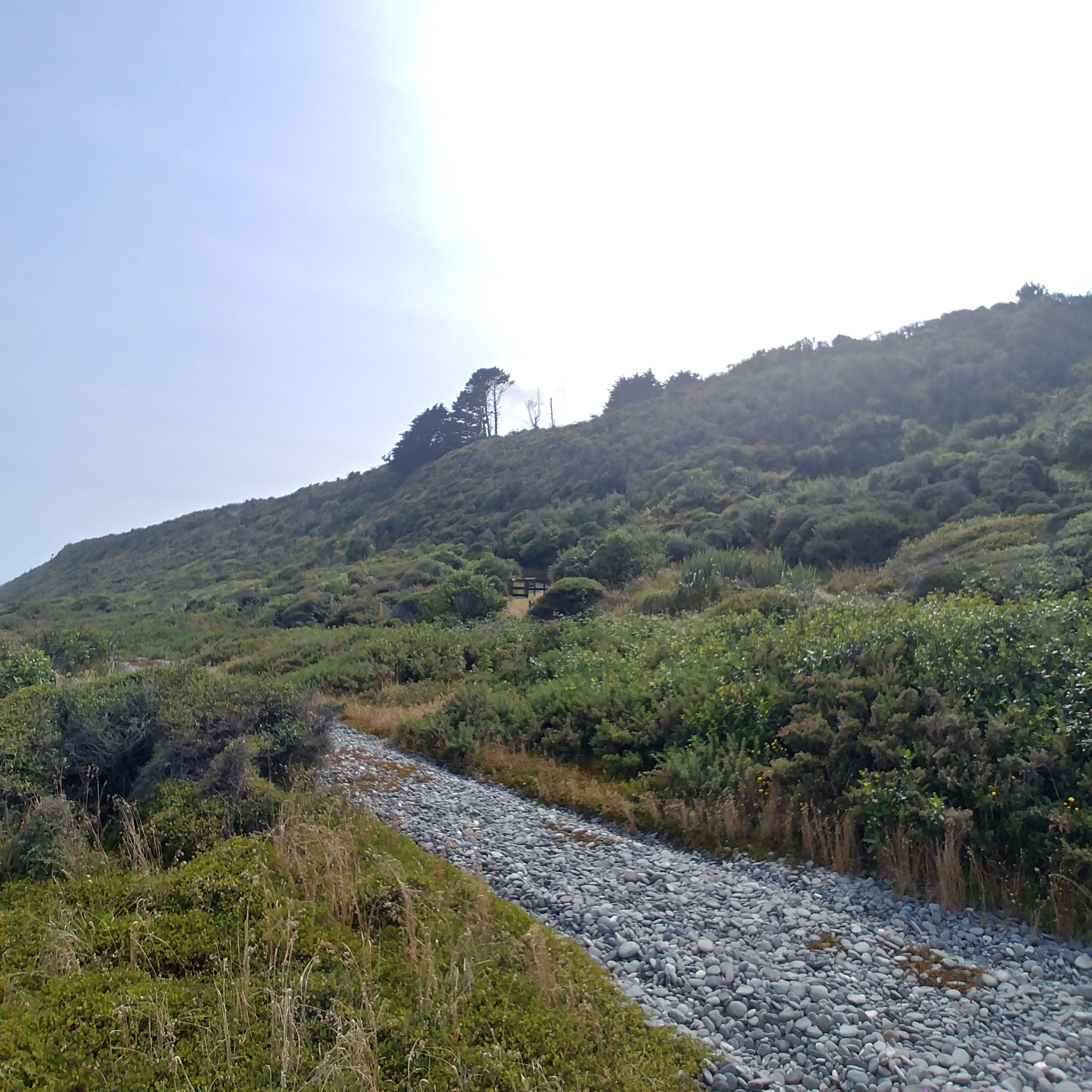 뉴질랜드 해안 산책로 Point Elizabeth Walkway