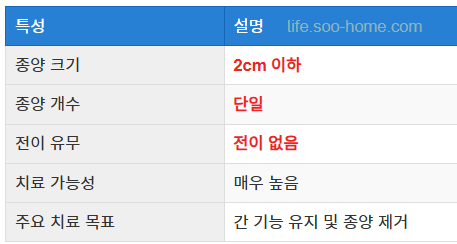 간암 1기란