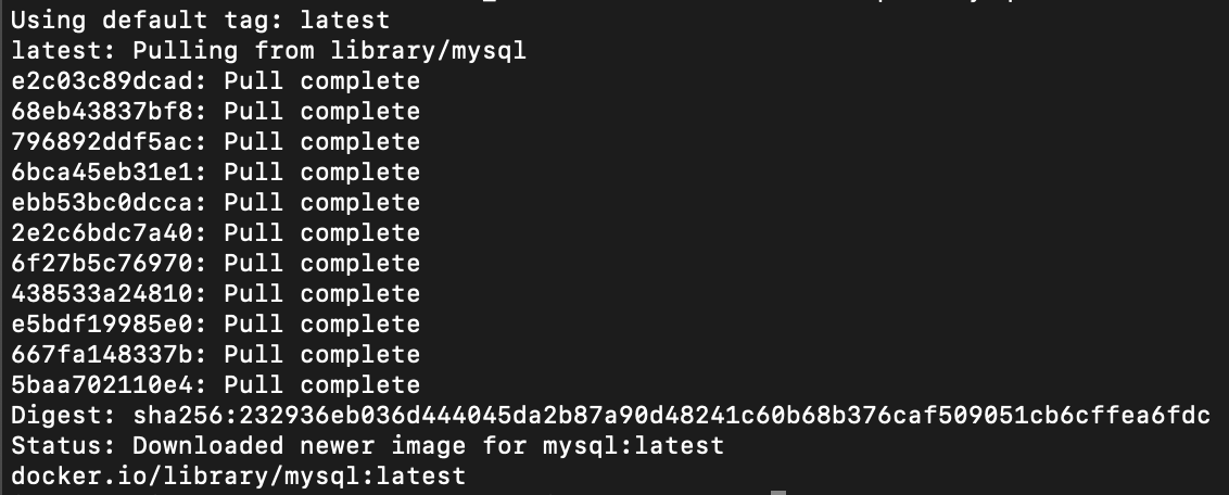 docker pull mysql 실행 결과