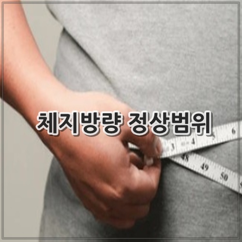 체지방량 정상범위