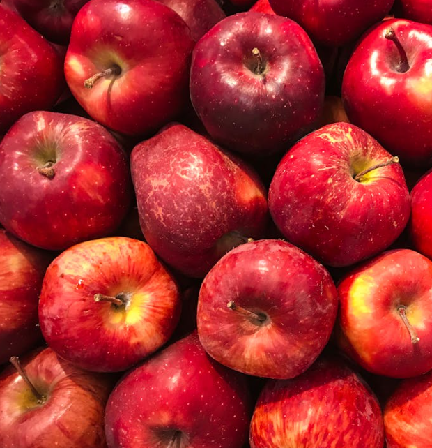 대장에 좋은 음식