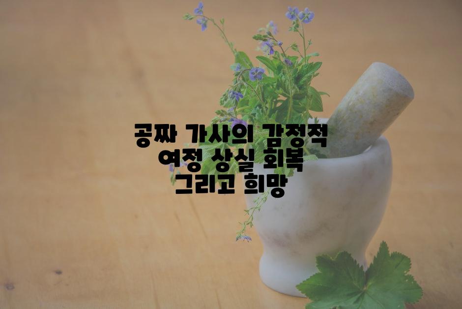 공짜 가사의 감정적 여정 상실 회복 그리고 희망