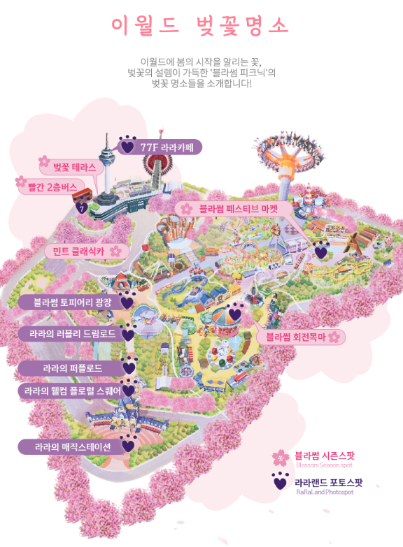 이월드 벚꽃명소