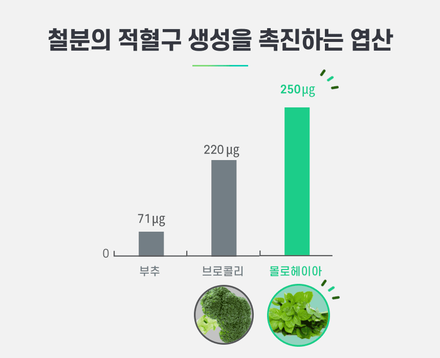 엽산