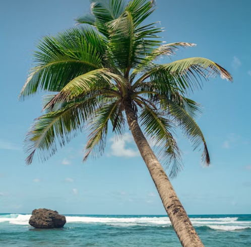 하와이 4박5일 여행 추천 – 와이키키 중심 일정