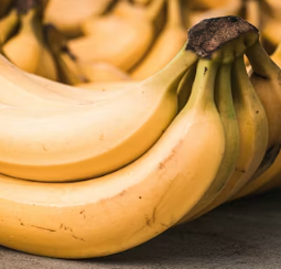 위궤양에 좋은 음식 영양제 식단