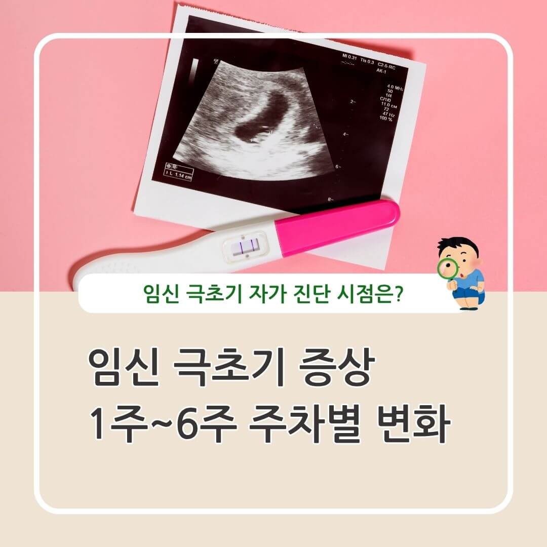 임신 증상 1주 2주 변화