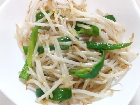 콩나물 콩 발아