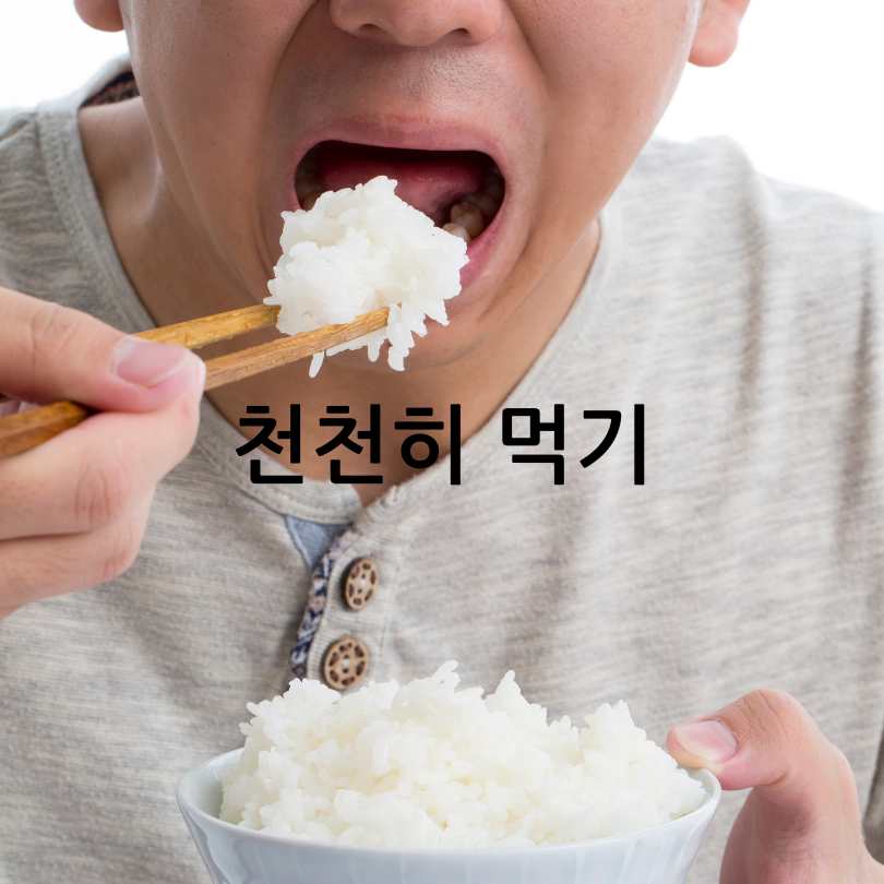 명절음식칼로리낮추는방법