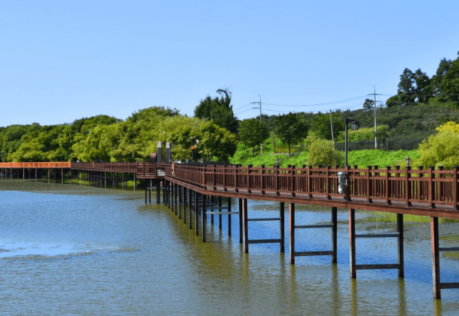 논산 수변공원 산책로