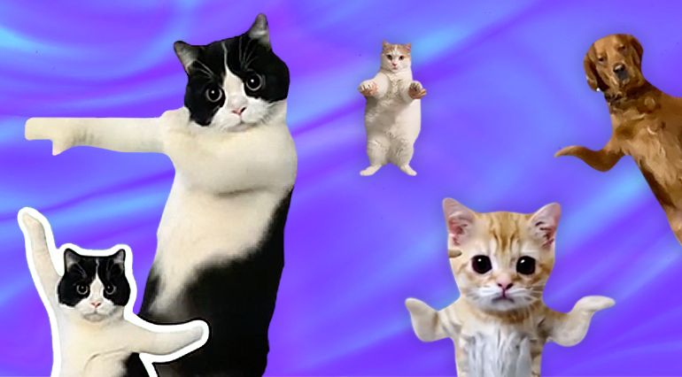 캐릿 살펴보기 1