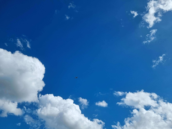 퇴직 후 일상, 정원 가꾸기